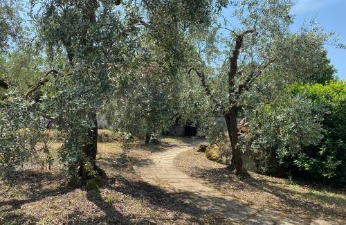 Soriano nel Cimino House | Ca' Fondi - Oasi Retreat