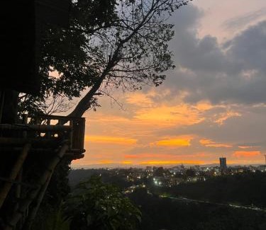 Calarca House | Cabaña Bamboo House