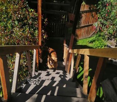 Usaquen Ski Chalet | Cabaña en la Calera BersaNina