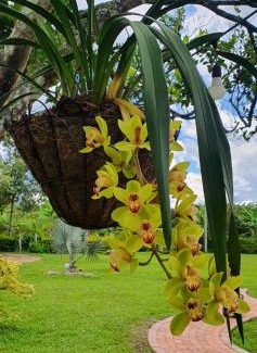 Pitalito House | Cabaña la guitarra