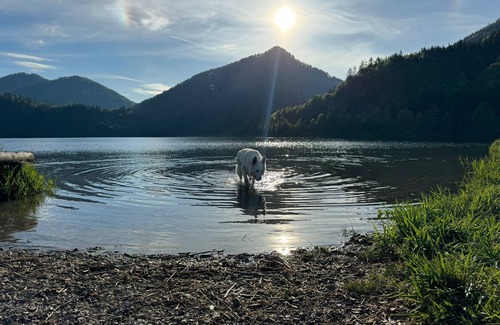Dibulla Cabin | Cabaña Nuisuni