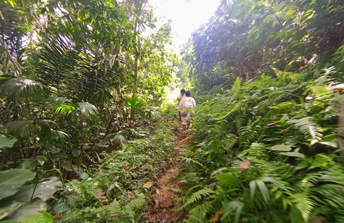 Dibulla Cabin | Cabaña Nuisuni