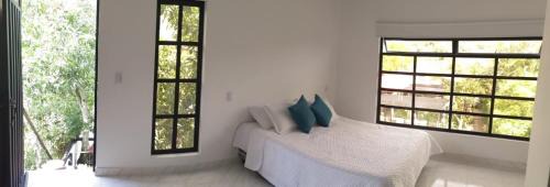 Apulo Apartment | Cabaña Oporto