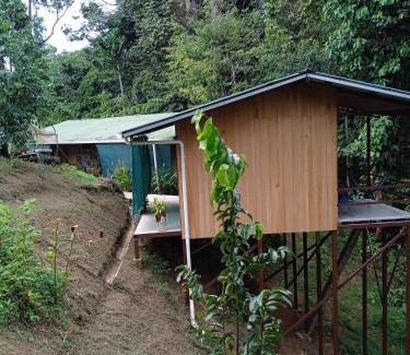 Drake Bay Ski Chalet | Cabañas Bajo Bosque Drake