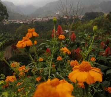 Riosucio Apartment | Cabañas Lucerito Colibrí