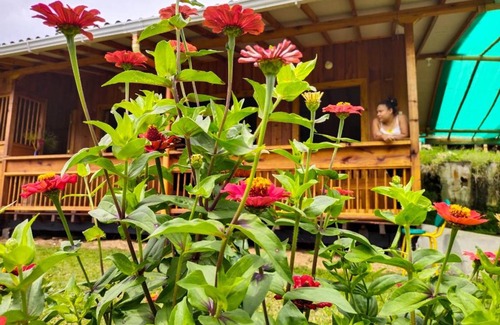 Jardin Ski Chalet | Cabañas Villa Juliana