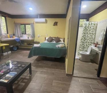Xpujil Apartment | Cabañas Xpujil Calakmul Campeche con vista a la Selva