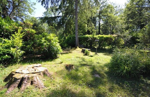 Cenarth House | Caban Coetir - Spacious lodge in stunning woodland location 🐾✅