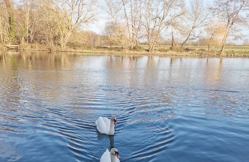 Saint-Medard-de-Guizieres House | Cabanon de Charme les Pieds Dans L'eau !