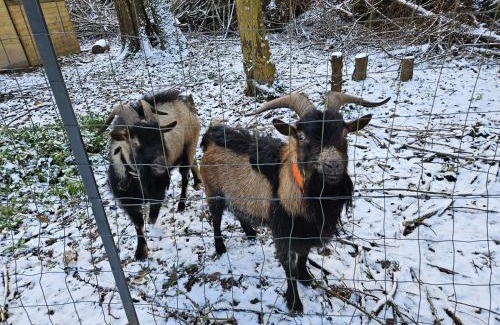 Villainville Bed & Breakfast | Cabane 5km Etretat