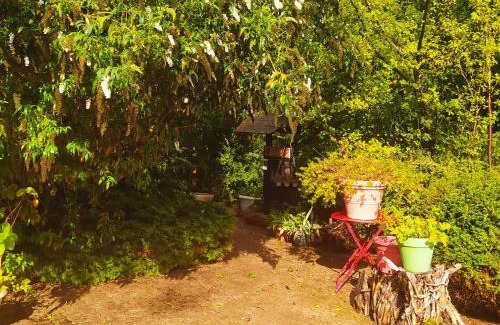 Fumay Other | CABANE CERISE DANS L'ARBRE Etapeboisee