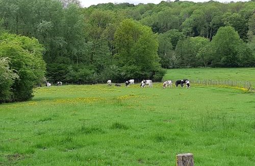 Saint-Augustin Other | Cabane d'Augustin