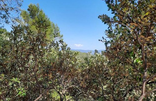 Cuers House | Cabane dans les arbres "La Kaz aux Cigales"