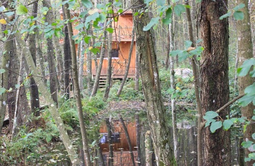 Saint-Nabord Ski Chalet | Cabane le cèpe with Scandinavian bath, ponds and panoramic view