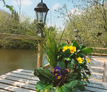 La Roche-Maurice Other | Cabane perchée avec jacuzzi