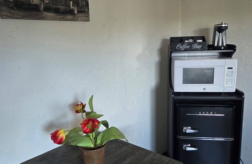 Manitou Springs Cabin | Cabin 15 | 1BR + Kitchenette Near Pikes Peak