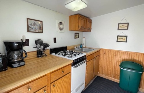 Brier Hill Cabin | Cabin 3 w/Dock Access *BEAUTIFUL LAKE VIEW*