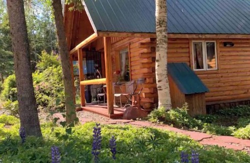 Sterling Cabin | Cabin 5 on the Kenai River
