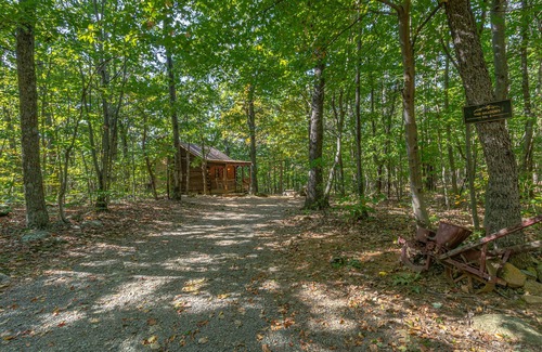 Stanardsville Cabin | Cabin #8 - The Shadows | 1 Bed, 1 Bath