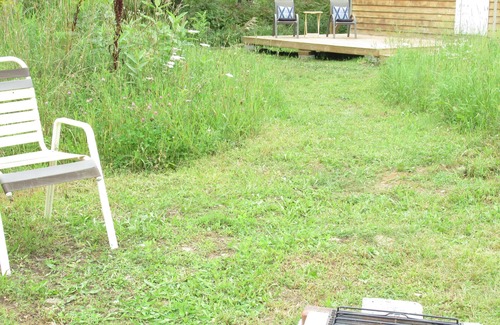 North Kawartha Cabin | Cabin & Forest near Beach
