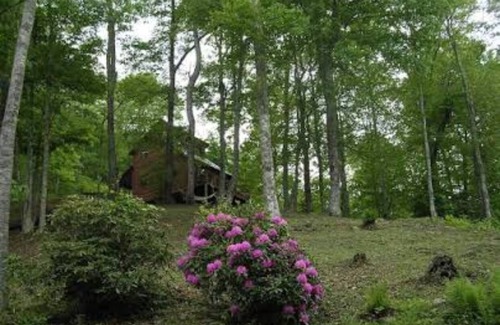 Bakersville Cabin | Cabin in Bakersville