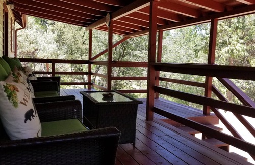 Wishon House | Cabin in bass lake vacational