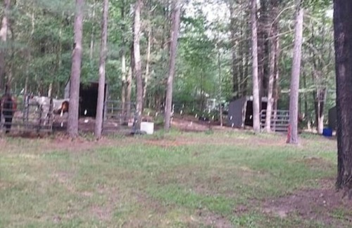 Mio Cabin | Cabin in Mio! Tubing, Horse Riders, ORV get away! By Ausable river & N Forest!