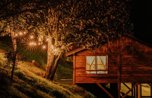 Charo Cabin | Cabin in Private Forest