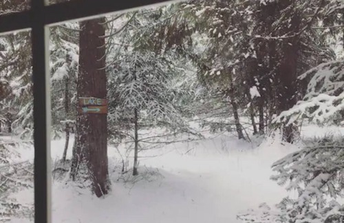 Sandpoint Cabin | Cabin in the Cedars.Close to Lake,Town & Mountain