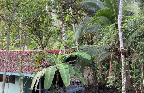 Parrita Villa | Cabin in tropical lush rainforest