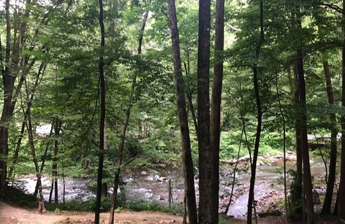 Topton Cabin | Cabin on Nantahala River! Dog-Friendly