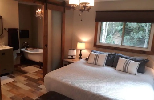 Dumont Cabin | Cabin on the Creek with Hot Tub and Steam Shower