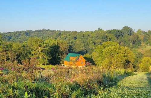 Wilkesville Cabin | Cabin Retreat at Whitetail Run