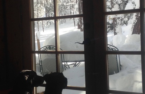 Heber Cabin | CABIN RETREAT-Great HUNTING LODGE! Escape the heat. 3 story treehouse! Hot tub!