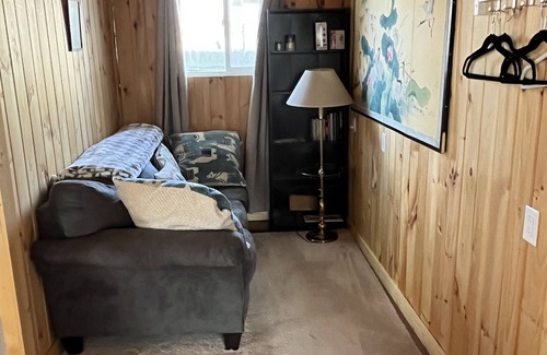 Lansing Apartment | Cabin style near MSU, sparrow, and freeway