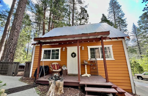 Kyburz Cabin | Cabin surrounded of beautiful nature for creating memories w/family or friends.