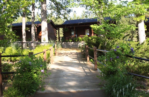 Tulsa Cabin | Cabin with a view #8