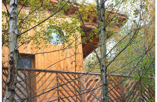 Saint-Nabord Ski Chalet | Cabin with Scandinavian bath in the heart of nature! Close to the ski slopes