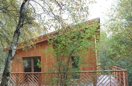 Saint-Nabord Ski Chalet | Cabin with Scandinavian bath in the heart of nature! Close to the ski slopes