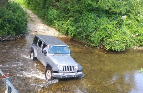 Brevard Cabin | Cabin with two trout rivers onsite. Brevard and Pisgah National Forest close by.
