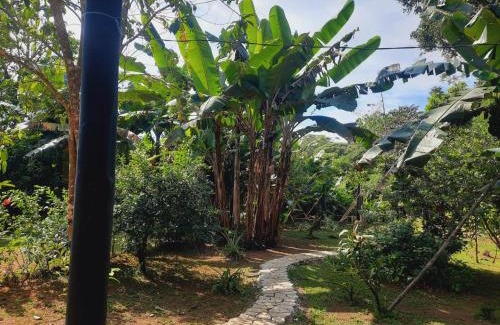 Los Planes Bed & Breakfast | Cabinas Corcovado Green Parrot, Los Planes Drake