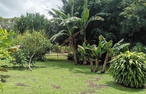 Tilaran Cabin | Cabinas Heide #3 Peace and Tranquility