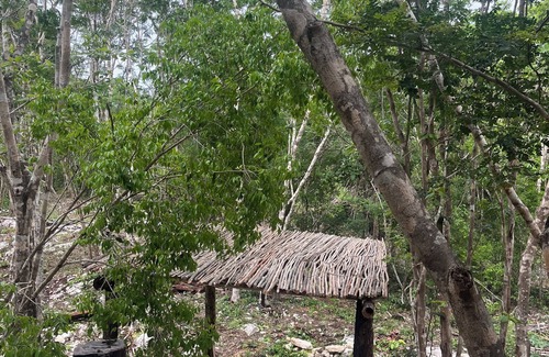 Tulum Cabin | Cabins in the middle of the Mayan jungle in Tulum with cenote type pool