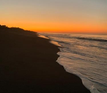 Monterrico Apartment | Cabo tortuga bungalows