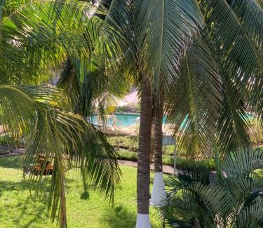 Monterrico Apartment | Cabo tortuga bungalows