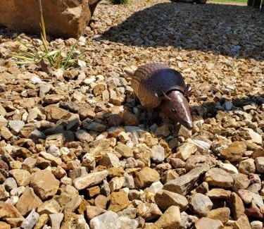 Mountain Grove Hotel | Cactus Inn and Suites