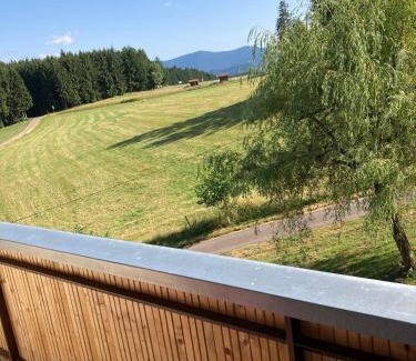 Muehlenbach House | Café Pension Pfaus Heidburg