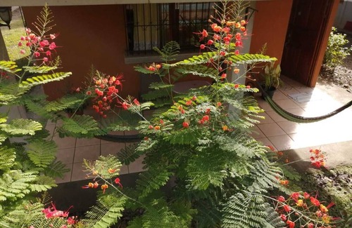 Cahuita Cabin | Cahuita Lodge