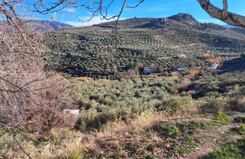 Jaen Apartment | Calle lerida Apartamento céntrico