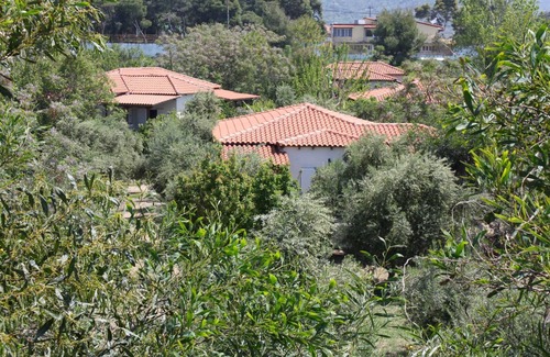 Kakovatos House | Calm located, amid an olive grove, close to the beach, wifi | holiday house Ilia